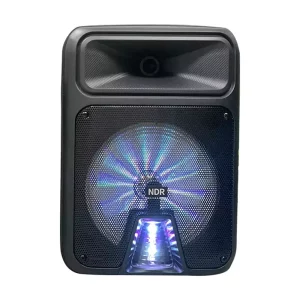 NDR-P28 portable BT DJ LoudSpeaker karaoke