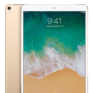 iPad Pro 1st Gen 9.7 gold